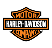 Company Logo 3